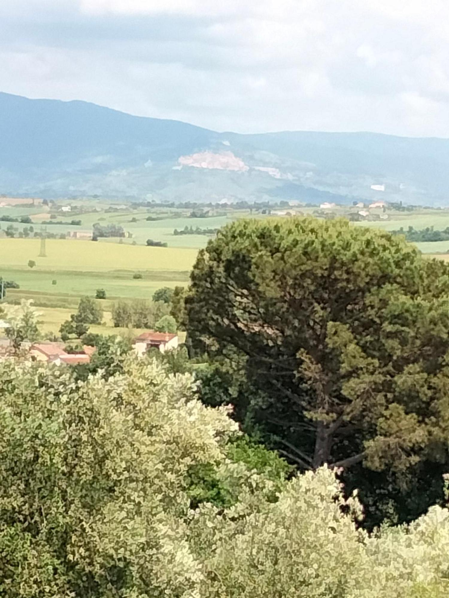 Villa Spaccasole Su Cortona Foiano Della Chiana Exteriér fotografie