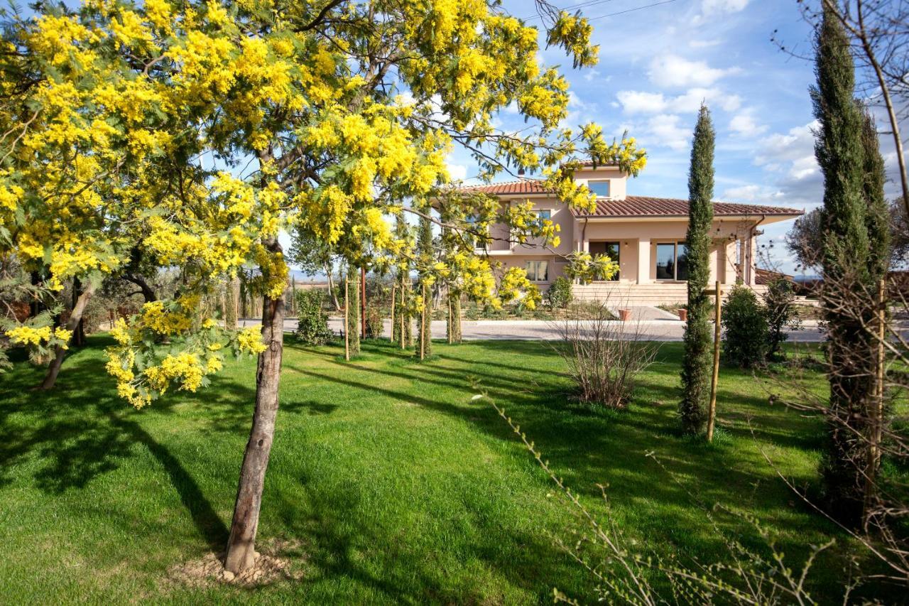 Villa Spaccasole Su Cortona Foiano Della Chiana Exteriér fotografie